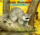 About Mammals: A Guide for Children (Paperback) - A Guide for Children