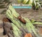 About Insects: A Guide for Children (Paperback) - A Guide for Children