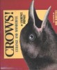 Crows! : Strange and Wonderful
