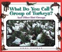 What do you call a group of turkeys? : And other bird groups