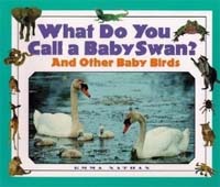 What do you call a baby swan? : And other baby birds