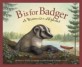 B Is for Badger: A Wisconsin Alphabet (Hardcover)