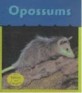 Opossu<span>m</span>s