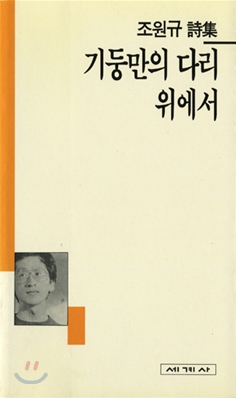 기둥만의 다리 위에서 : 조원규 시집