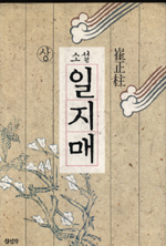 (최정주 장편소설)소설 일지매. 上 표지 이미지