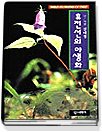 휴전선의 야생화 = Wild flowers of D.M.Z. 표지 이미지