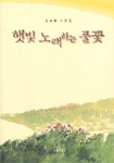 햇빛 노래하는 풀꽃  :  김정희 수필집 표지 이미지