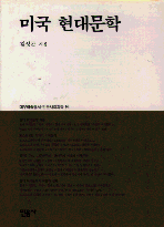 미국 현대문학