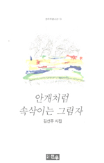 안개처럼 속삭이는 그림자 : 김선주 시집