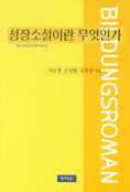성장소설이란 무엇인가