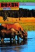 動物大百科 = The encyclopaedia of animals. 16 : 動物의 行動