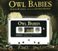 Owl Babies (Board Book, New ed)