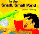 In the Small Pond, Small Pond (페이퍼백)