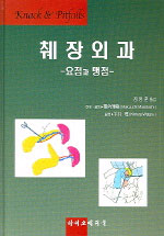 간외과의 요점과 맹점 표지 이미지