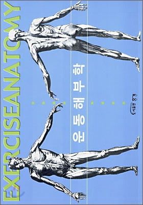 <span class="sponge-point-color">운동해부학</span>