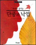 (주우며 즐기는) 단풍과 낙엽 = Fallen leaves of autumn 표지 이미지