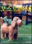 가족테라피 이미지