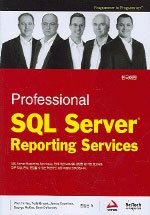 (Professional) SQL server reporting services 표지 이미지