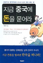 지금 중국에 돈을 묻어라 : 합법적인 중국투자로 리스크 없이 큰돈 버는 법! 표지 이미지