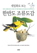 (세밀화로보는) 한반도 조류도감 = (The) complete guide to brids of the korean peninsula 표지이미지