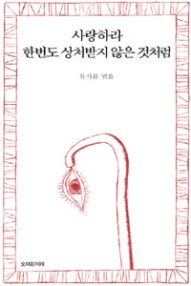 사랑하라 한번도 상처받지 않은 것처럼 (저자: 류시화) 책 표지