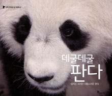 (데굴데굴)판다 : 덩치는 크지만 사랑스러운 판다 표지 이미지