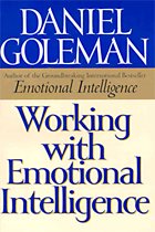 Working with emotional intelligence = 일과 감성지능