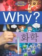 Why? 화학 / 조영선 글 ; 이영호 그림 ; 김건 감수. 15