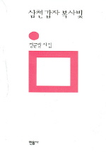 삼천갑자 복사빛 : 정끝별 시집