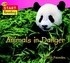 Animals in Danger (Paperback)