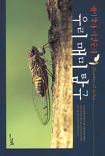 (매미박사 이영준의)우리 매미 탐구= Cicadas of Korea