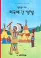 미국에 간 땡땡