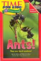 Ants! (Paperback) - Time for Kids Science Scoops