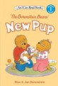 (The Berenstain bears) new pup