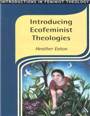 Introducing Ecofeminist Theologies