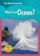 What Is An Ocean? (Library)