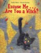 Excuse Me. . . Are You a Witch? (Paperback)