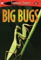 Big Bugs (Paperback)