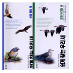 쉽게 찾는 우리 새. [1] : 강과 바다의 새 / 이우신 ; 김수일 [공]글 ; 김수만 사진