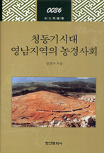 청동기시대 영남지역의 농경사회