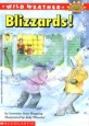 Blizzard<span>s</span>!