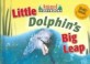 Little Dolphin's Big Leap (Library)