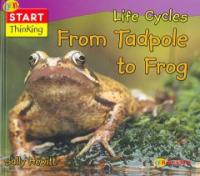 Life cycles from tadpole to frog