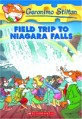 Field Trip to Niagara Falls