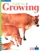 Four Corners Early - Guide to Growing (Big Book)