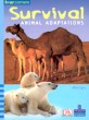 Survival : Animal Adaptations