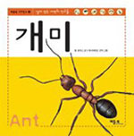 개미 : 살아있는 자연의 친구들 표지 이미지