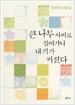 큰 나무 사이로 걸어가니 내 키가 커졌다 : 호원숙 산문집 표지 이미지