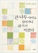 큰 나무 사이로 걸어가니 내 키가 커졌다