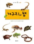 쏘피아 이미지